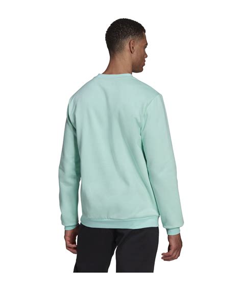 adidas sweatshirt grau türkis herren|Adidas Herren.